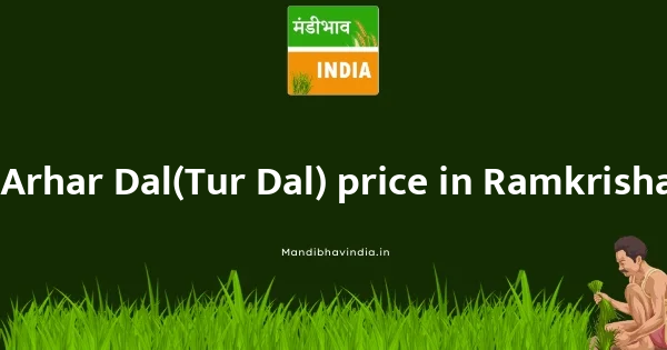 Arhar Dal(Tur Dal) price